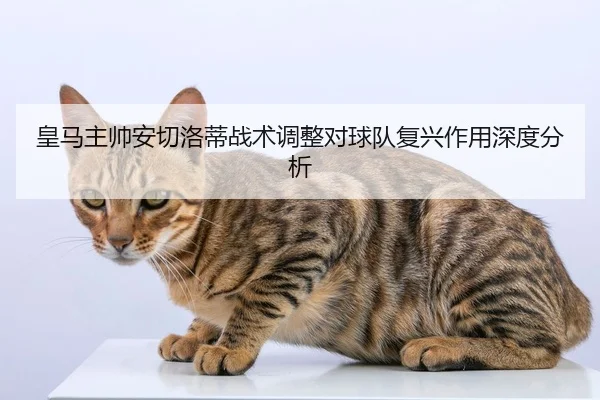 皇马主帅安切洛蒂战术调整对球队复兴作用深度分析
