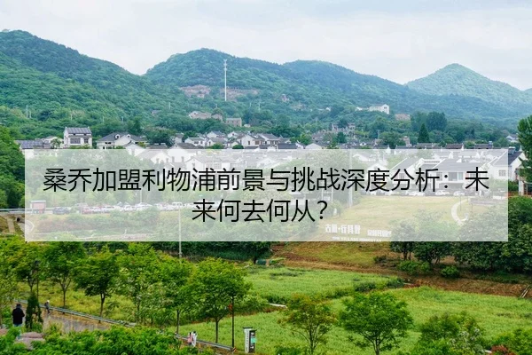 桑乔加盟利物浦前景与挑战深度分析：未来何去何从？